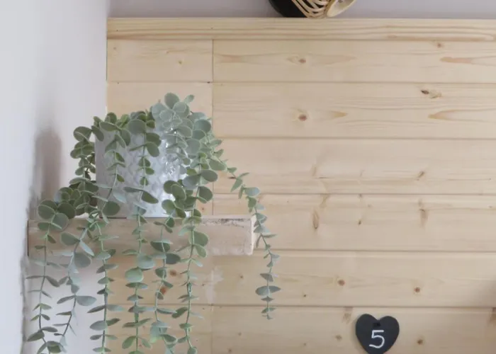 Santa, Sea & Sun * סנטה קרוז